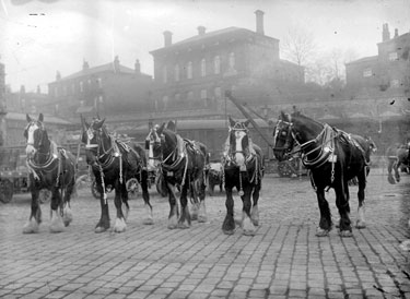 Five Railway Horses, Carts in background, Dewsbury