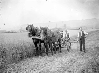 Agriculture, horse-drawn mower