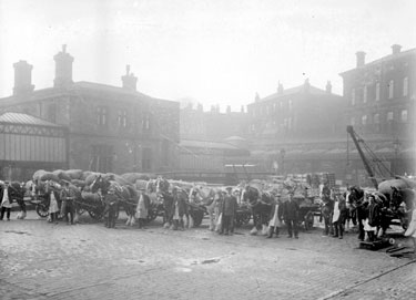 Railway Horses outside Dewsbury Railway Station