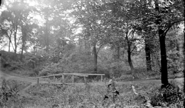 Park/Woodland with wooden bridge, Dewsbury?
