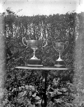 Two trophies on table in garden