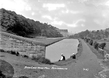 Shaw Carr Wood, Mill Dam, Slaithwaite, Huddersfield