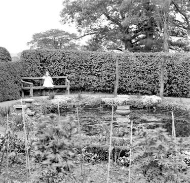 Lily Pond, Hill House, Cawthorne