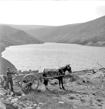 Horse and Cart at Blakeley Reservoir
