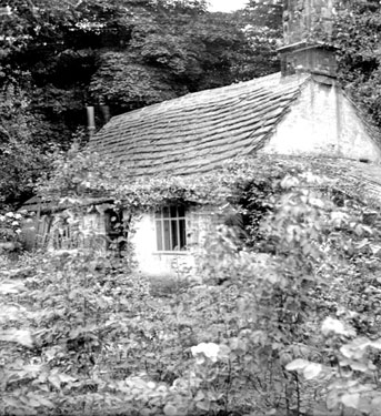 Cottage in Tivi Dale, Cawthorne