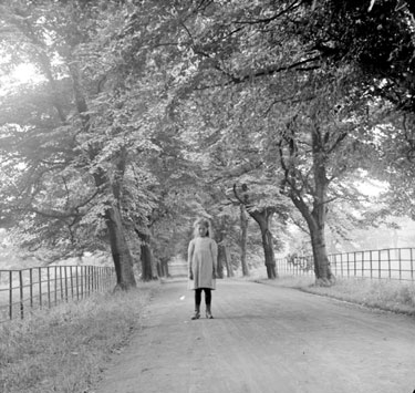 Girl standing in Avenue of Lime Trees near Banks Hall, Cawthorne