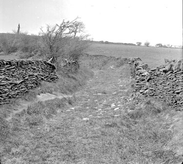 Old Road on the South East side of Castle Hill