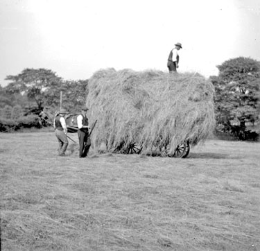 Loading hay, Fenay Royd