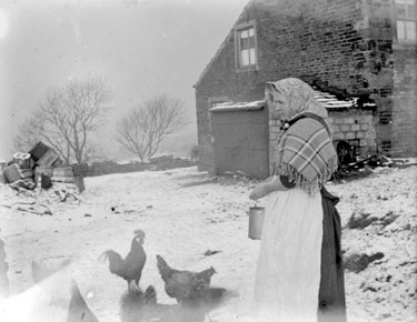 Woman feeding hens in yard