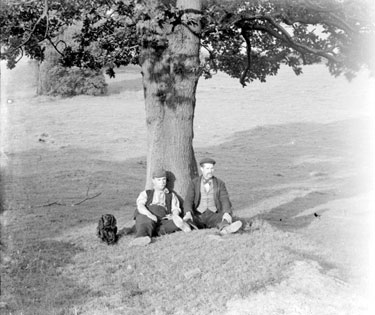 Men sitting under tree