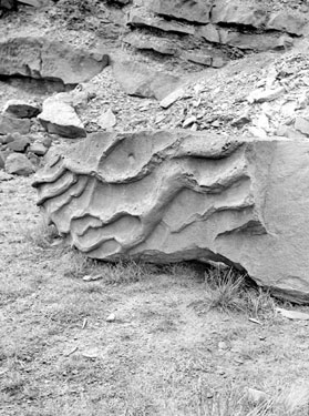 Ripple casts, millstone Grit resting on shale, Butterley reservoir