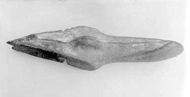 Bronze axe head or celt found by George Radford, Denshaw