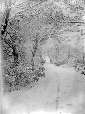 Snow Scene, Wilton Park, Batley.