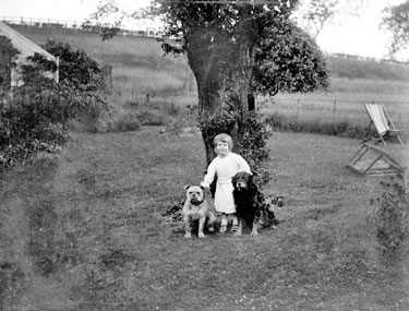 Young girl and dogs in Garden