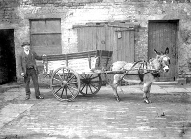Donkey and Cart of William Bland Firewood Dealer, Dewsbury
