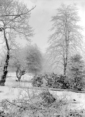 Snow Scene, Wellholme Park, Brighouse