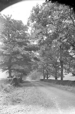 Cannon Hall Road, Cawthorne