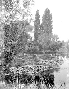 Lake in Kew Gardens