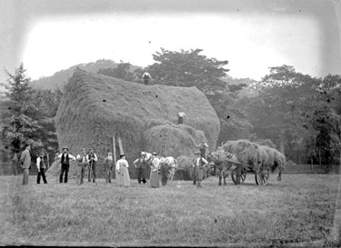 People and horse and cart gathering hay