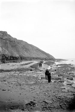 Group walking on beach