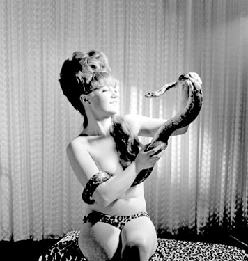Shirley, the Snake girl, at Batley Variety Club