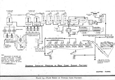 Thomas Broadbent & Sons Ltd - Diagram showing Process in Raw Cane Sugar Factory
