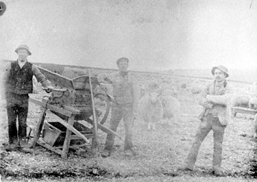 Three men with a agricultural machine, with sheep in background