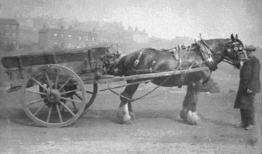 Man with horse and cart, off Halifax Road, with Northfield Street in the background