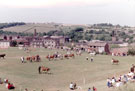 Batley Horse Show, Carters Field