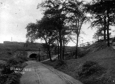 Benny Parr Wood, Batley - railway bridge.