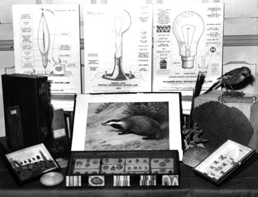 Bagshaw Museum - display showing a variety of items, including diagrams depicting light bulbs, a stuffed bird and a picture of a badger etc..
