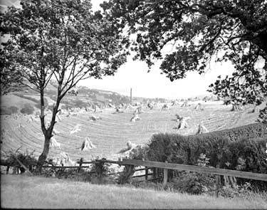 General view Birkby, Fixby and Fartown 	