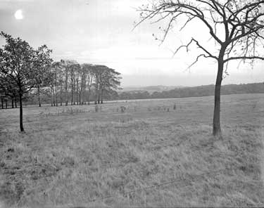 Landscape near Denby Grange 	