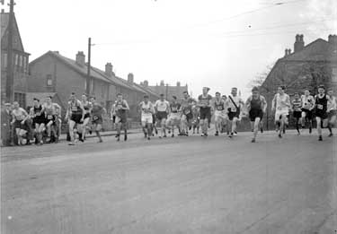 Group of Harriers, start of race 	