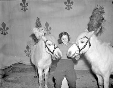Barbara Howe with Ponies appearing in the Theatre Royal Circus 	