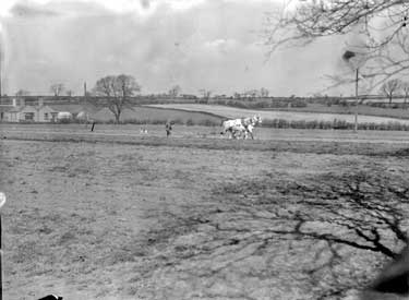 Horse-drawn Plough at Windmill Farm, Shelley 	