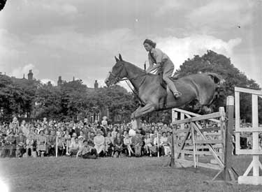 Horsejumping 	