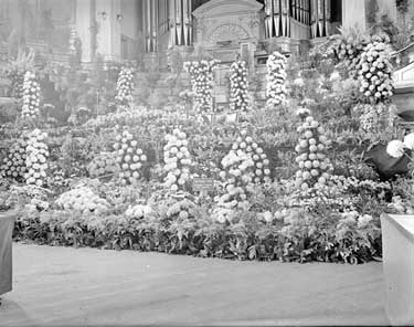 Chrysanthemum Show at Huddersfield Town Hall 	