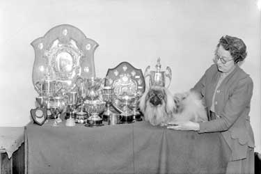 Mrs Kirby with her Pekinese Dog and trophies 	