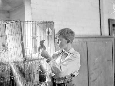 Royal Society for the Prevention of Cruelty to Animals - Boy with bird in cage 	