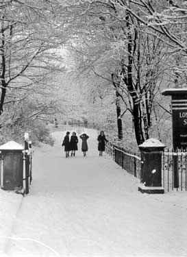 Snow scene, Longley Hall Drive 	