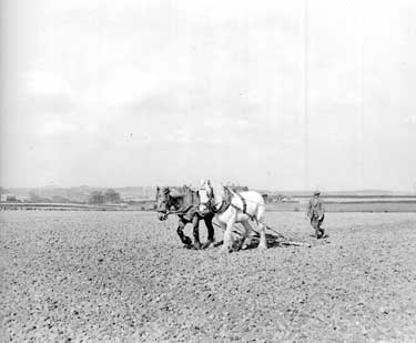 Ploughing field 	