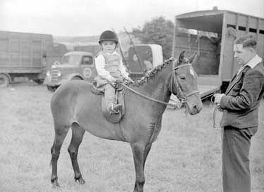 Small child on horse 	