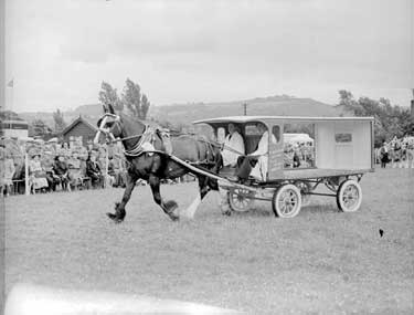 Horse and Cart Event, Gymkhana 	