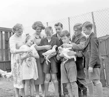 Children with hens 	