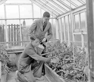 Schoolboys in greenhouse 	