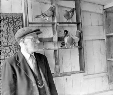 J. H. Battye and a pigeon 	