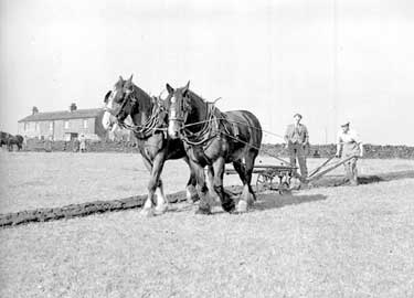 Ploughing contest at Thurstonland, Huddersfield 	