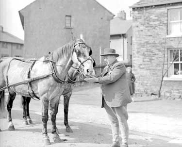 Man with horses at Lowerhouses, Huddersfield 	