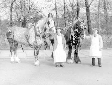 May Day Horses at Ben Shaws 	